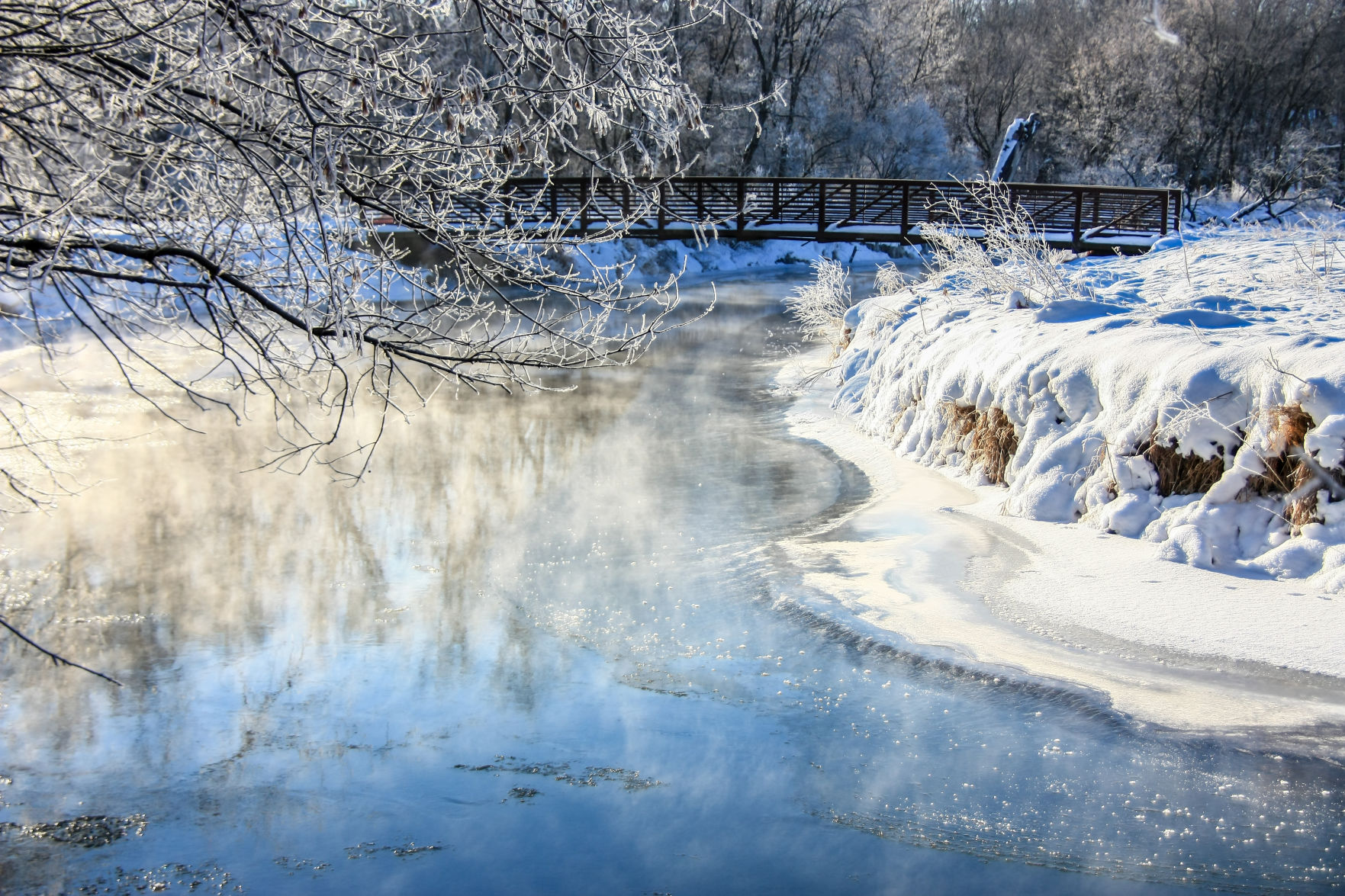 Winter wonderland